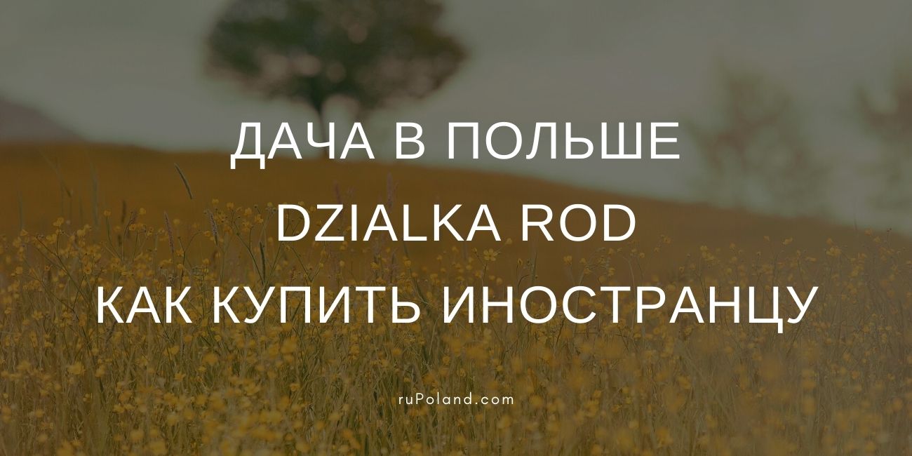 Дача в Польше - Dzialka ROD, как купить иностранцу