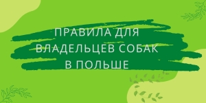 Правила для владельцев собак в Польше