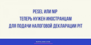 PESEL или NIP теперь нужен для подачи налоговой декларации PIT