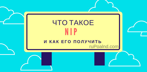Что такое NIP, зачем нужен и как получить в Польше