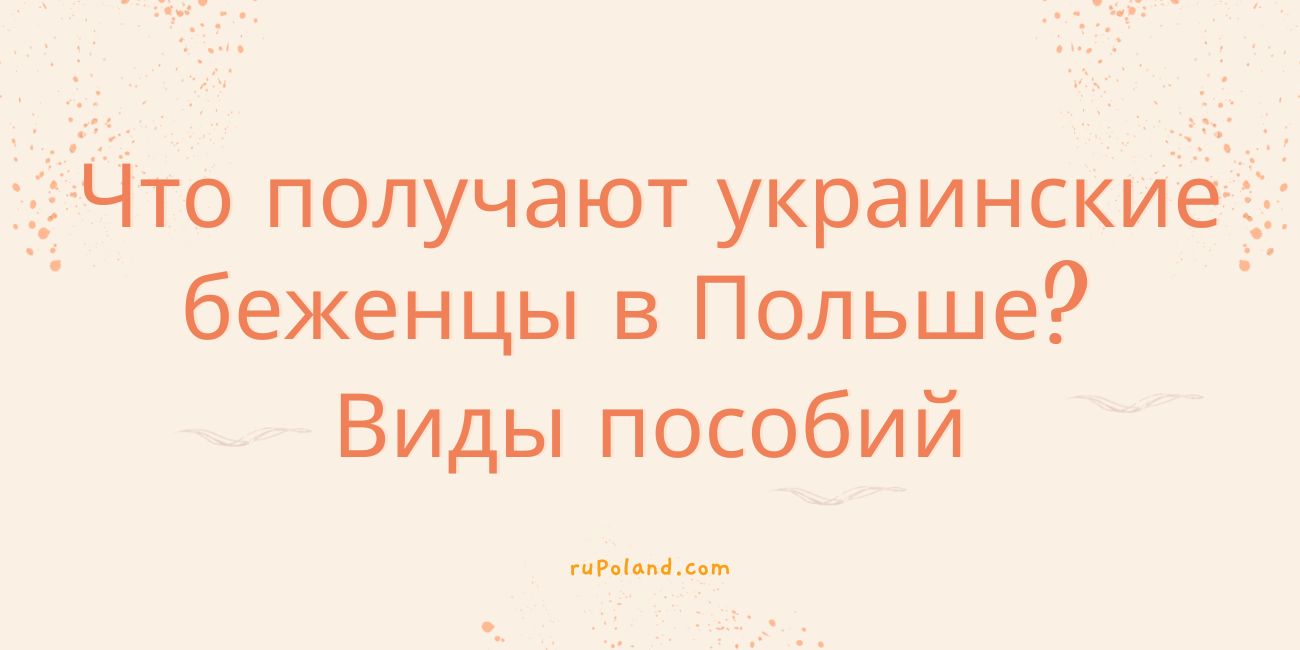 Что получают украинские беженцы в Польше? Виды пособий