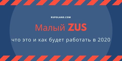 Малый ZUS что это и как будет работать в 2020