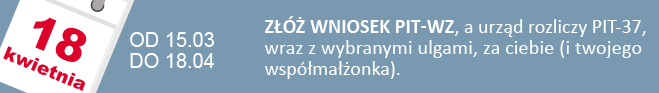 самостоятельная подача налоговой декларации в Польше через интернет