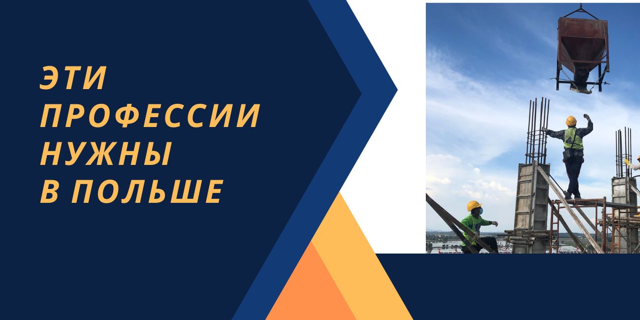 Какие профессии нужны в Польше